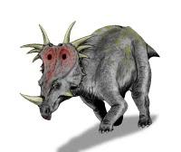 Styracosaurus