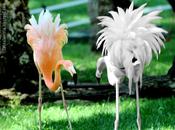 Enfrentados ponen flamencos): #retopolos