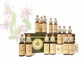 floresdeebach Flores de Bach para combatir la ansiedad