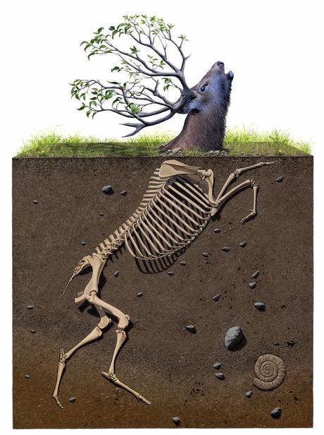 Josh Keyes – Pinturas (II)