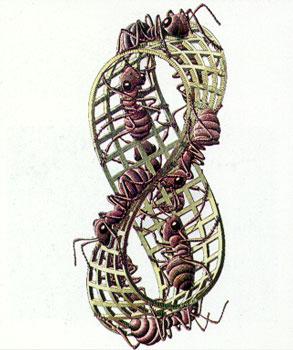 EL DILEMA DISCURSIVO, Y LA NECESIDAD DE LA DEMOCRACIA REPRESENTATIVA