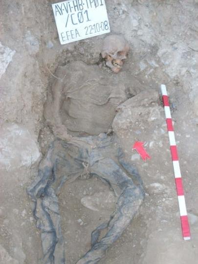 Perú:  Ud. qué opina ¿debemos repetir la historia?.