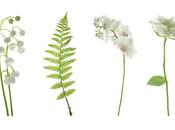 mágia Universo Simetrías