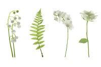 La mágia del Universo - Simetrías