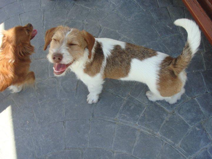 Priya... como no enamorarse de ella