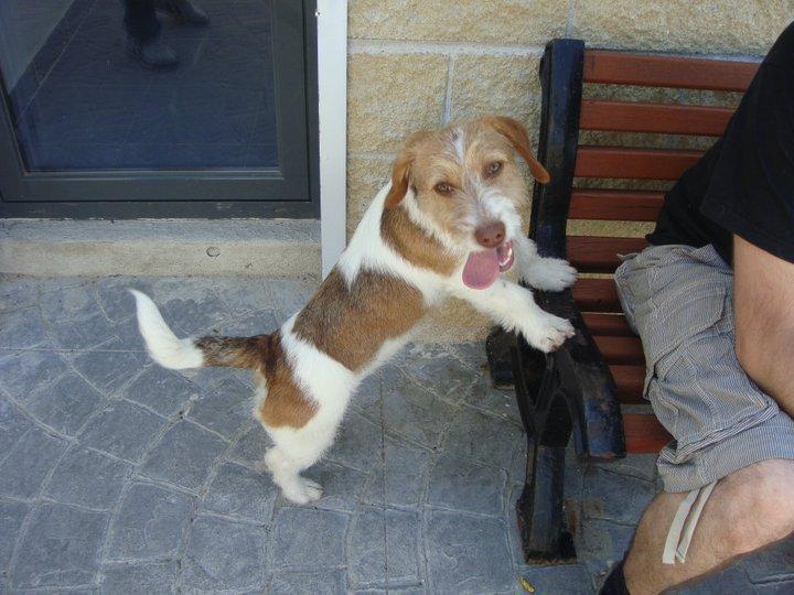 Priya... como no enamorarse de ella