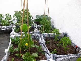 Las huertas de mi vida