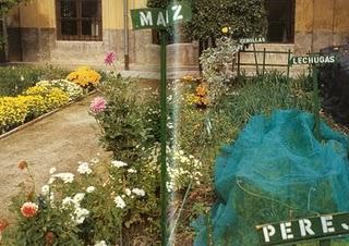 Las huertas de mi vida