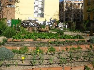 Las huertas de mi vida