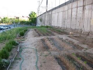 Las huertas de mi vida