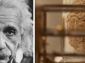 Ocho partes cuerpo expuestas raros lugares mundo