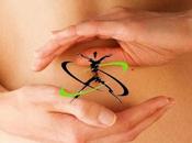 mejores diuréticos naturales