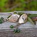 Crafts & Beauty bronze, british columbia jade, and antiqued brass earrings