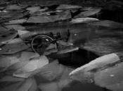 Trembling Blue Stars Correspondence