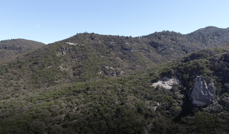 La UNAM realizará estudio para la protección de la Sierra de San Miguelito