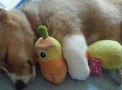 Explosiones tortura nuevo (cuento)