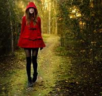 harry-wolf-laura-sanz-novela-resena