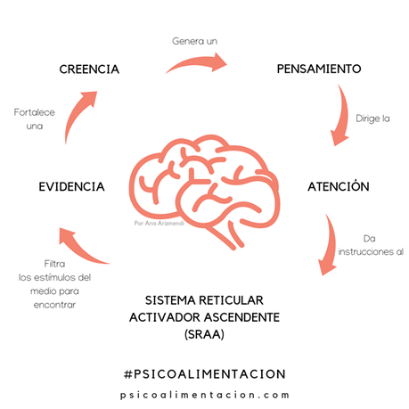 Sistema Reticular Activador Ascendente (SRAA)