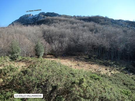 Felechosa-El Sendón-Pandos-El Pedroso-La Mosqueta la Boya