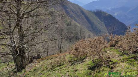 Sendero hacia la Riega Entrepeñes entre pastizales