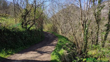 Pista subiendo de Tornín a Los Payares