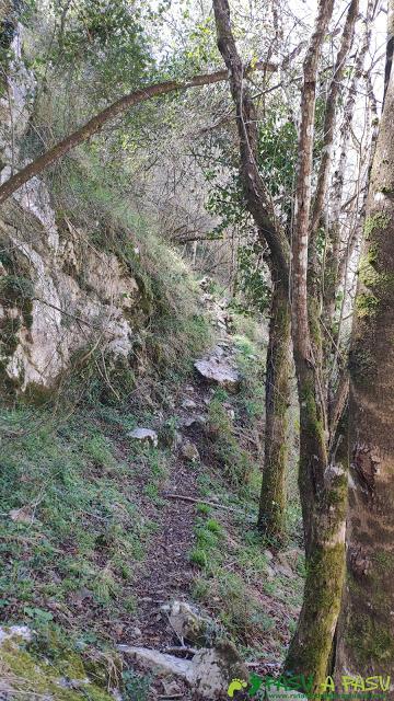 Sendero hacia la Casa del Río la Vara