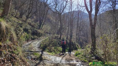 Cruce de caminos hacia Payares