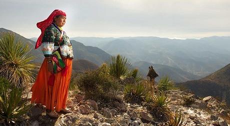 En resistencia la tierra sagrada de Wirikuta; quieren evitar su depredación