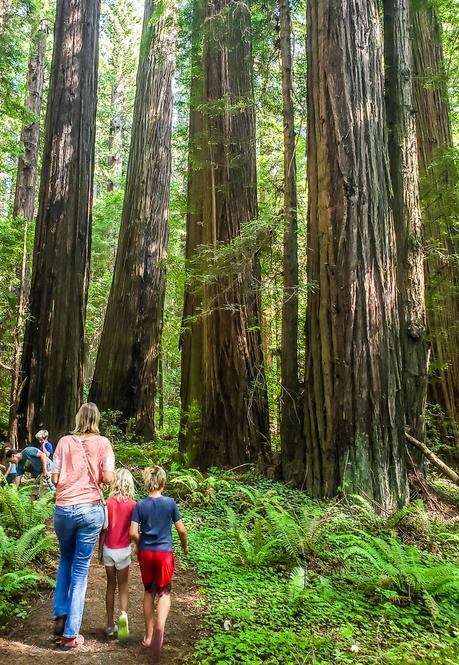 20190610_163342 ▷ 30 lugares increíbles para visitar en California para su lista del cubo de California