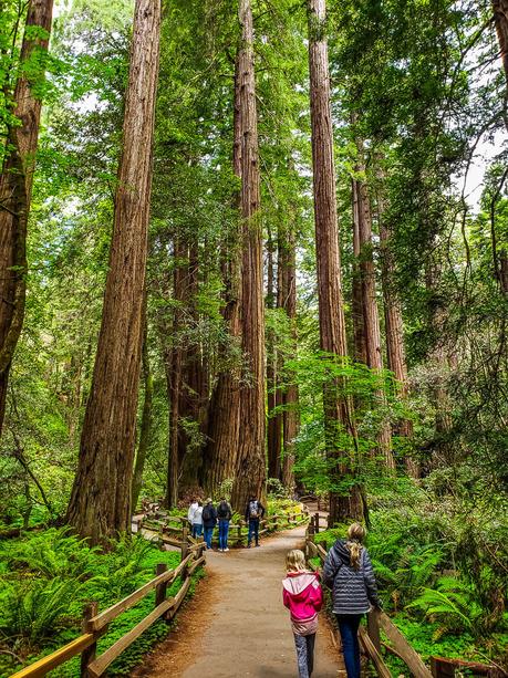 20190531_101606 ▷ 30 lugares increíbles para visitar en California para su lista del cubo de California