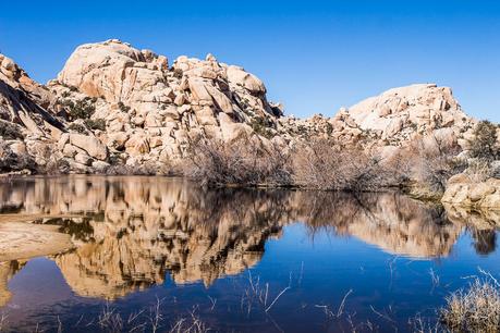 Barker-Dam-Joshua-Tree-National-Park-2 ▷ 30 lugares increíbles para visitar en California para su lista del cubo de California
