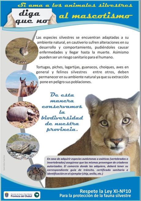 La fauna, la flora, los rios y los lagos generan en Chubut una postal única. La fauna, la flora, los rios y los lagos generan en Chubut una postal única.