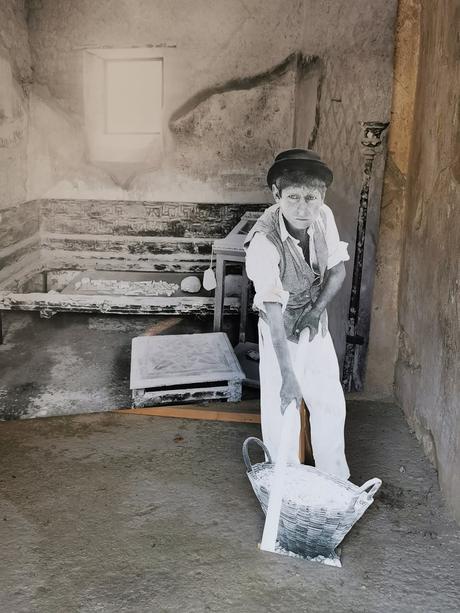 Herculano. Una merecida visita Herculano. Una merecida visita