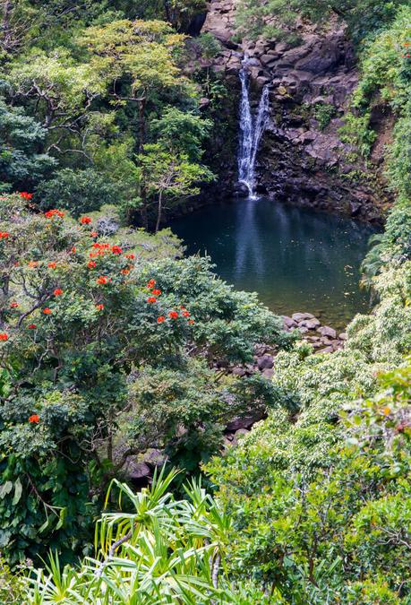 ▷ Comente sobre la guía definitiva para conducir el camino a Hana, Maui, por los temas que desea saber cuando viaje a Maui – Noticias de viajes road-to-hana ▷ Comente sobre la guía definitiva para conducir el camino a Hana, Maui, por los temas que desea saber cuando viaje a Maui - Noticias de viajes