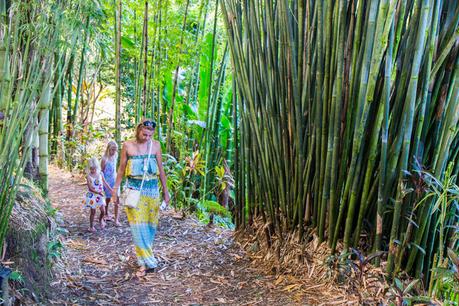 garden-of-eden-the-road-to-hana-maui-7 ▷ Comente sobre la guía definitiva para conducir el camino a Hana, Maui, por los temas que desea saber cuando viaje a Maui - Noticias de viajes