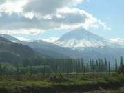 Una gran variedad de relieves y paisajes constituyen el hábitat de la fauna y flora neuquina.