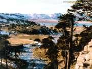 Una gran variedad de relieves y paisajes constituyen el hábitat de la fauna y flora neuquina.