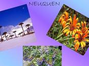 gran variedad relieves paisajes constituyen hábitat fauna flora neuquina.