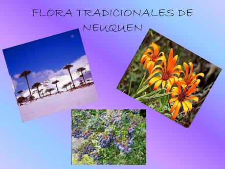 Una gran variedad de relieves y paisajes constituyen el hábitat de la fauna y flora neuquina.