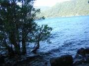 Una gran variedad de relieves y paisajes constituyen el hábitat de la fauna y flora neuquina.