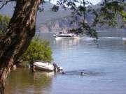 Una gran variedad de relieves y paisajes constituyen el hábitat de la fauna y flora neuquina.