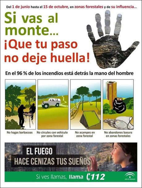 Mensajes para un verano feliz Mensajes para un verano feliz