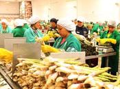 Empleo formal crece provincias Lima