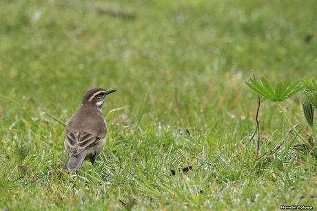 Camino a Hua Hum Camino a Hua Hum