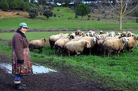El Senderín, julio, 2019, Nº 33 El Senderín, julio, 2019, Nº 33