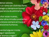 Desoyendo Voces Pluralidad