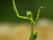 Amigos lectores, vemos septiembre. ¡Felices vacaciones!