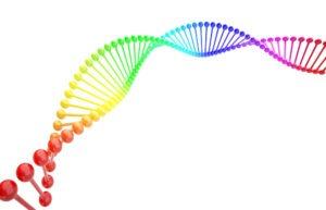 ¿Por qué existen los homosexuales?