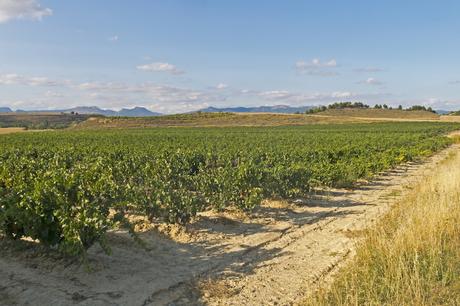 la_rioja- ▷ 17 regiones más bellas de España