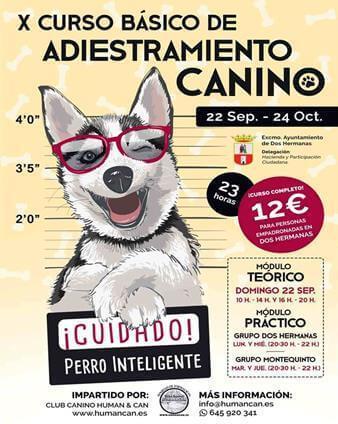 Curso básico de adiestramiento canino en Montequinto